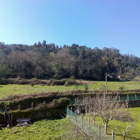 Costina نويا