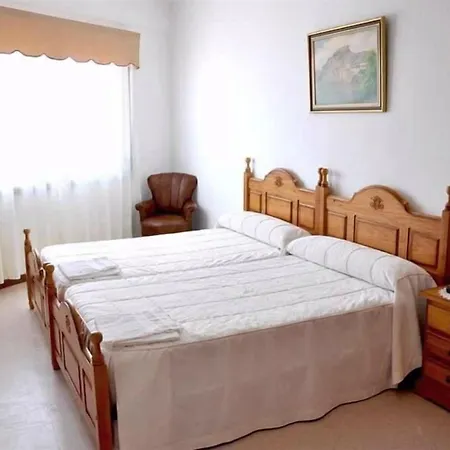 Costina نويا